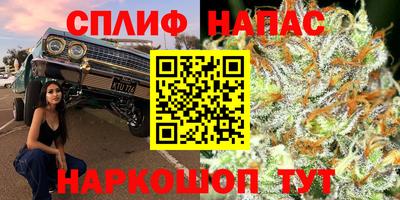 ALPHA PVP Ярославль