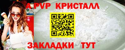 ALPHA PVP Ярославль