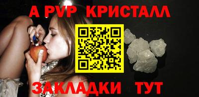 ALPHA PVP Ярославль