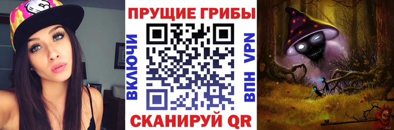 Галлюциногенные грибы Psilocybine cubensis  наркотики  Мончегорск 