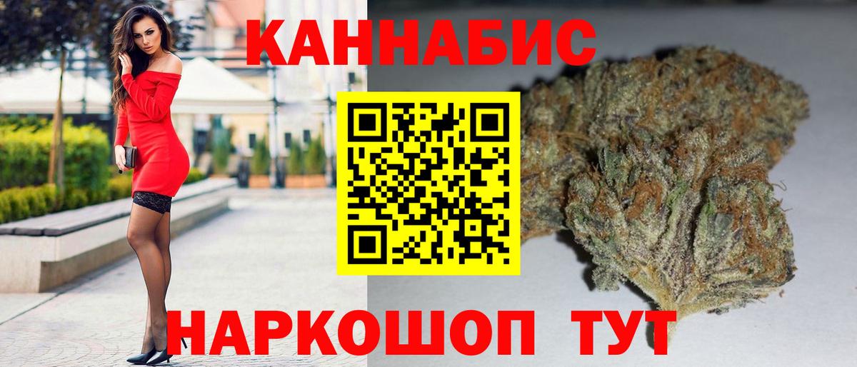 Конопля гибрид Мончегорск